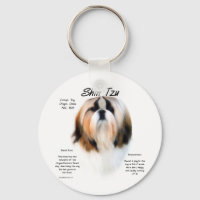 Diseño de la historia de Shih Tzu