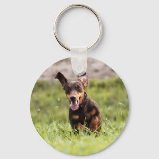 Llavero Disparo Dachshund
