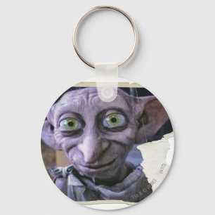 Llavero Dobby 1