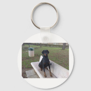 Llavero doberman pincher sedentado.png