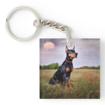 Doberman Pinscher