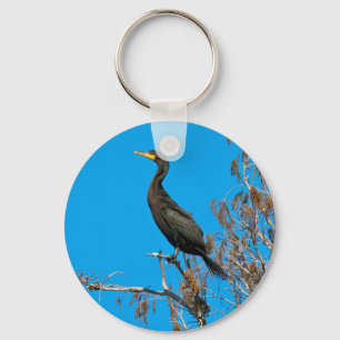 llavero Doble-con cresta del cormorán
