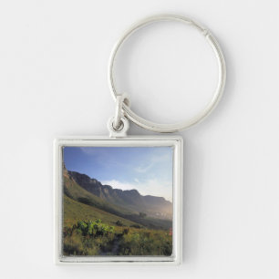 Llavero Doce apóstoles, Ciudad del Cabo, Cabo Occidental