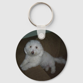 Llavero Dogluv