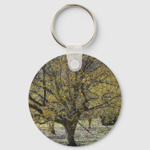 Llavero Dogwood de cerezo corneliano y gloria de la nieve
