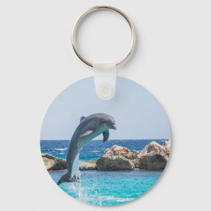 Llavero Dolphin Bottlenose