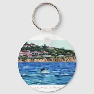 Llavero Dolphins Near Palos Verdes