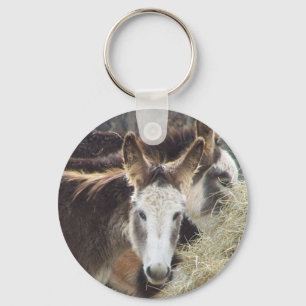 Llavero Donkey