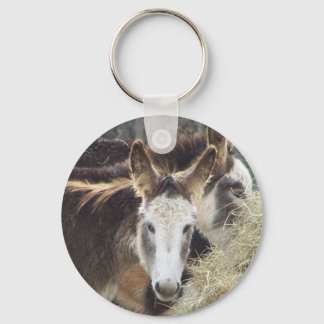 Llavero Donkey