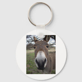 LLAVERO DONKEY