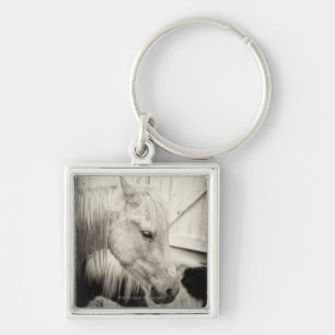 Llavero dos caballos fuera de un establo blanco y negro