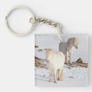 Llavero Dos caballos islandeses blancos