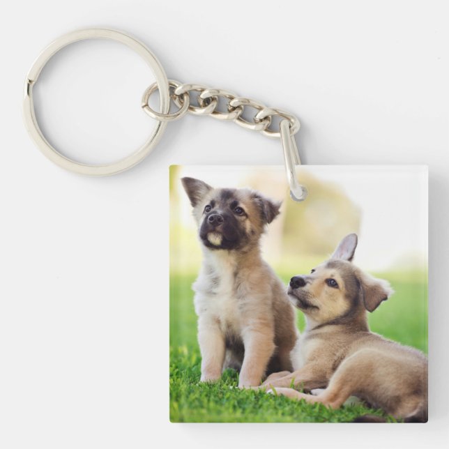 Llavero Dos cachorros de pastor alemanes (Frente)