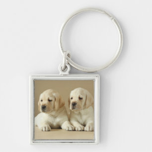 Llavero Dos Cachorros Labrador Dorados