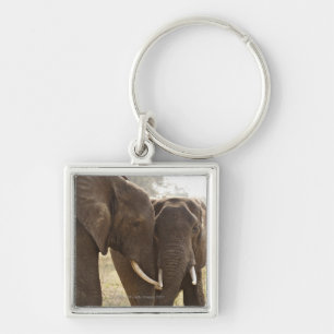 Llavero Dos elefantes africanos de Bush (Loxodonta