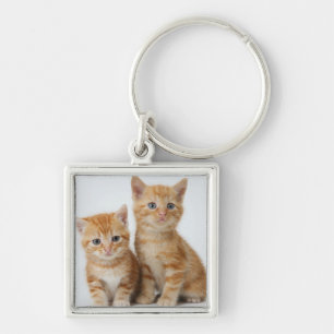 Llavero Dos gatitos adorables
