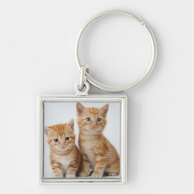 Llavero Dos gatitos adorables (Frente)