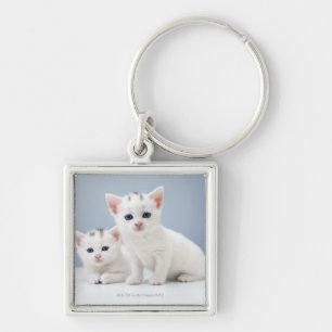 Llavero Dos gatitos blancos muy jovenes miran fijamente