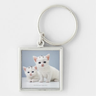 Llavero Dos gatitos blancos muy jovenes miran fijamente