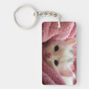 Llavero Dos gatitos dulces