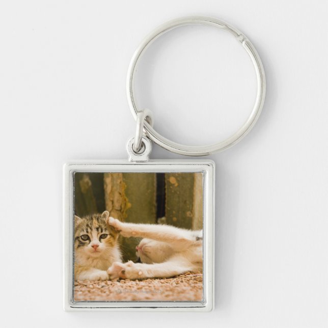 Llavero Dos gatitos, Marruecos (Frente)