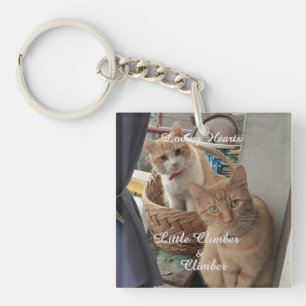 Llavero Dos Gatos, Fotografía Y Nombres Sustituibles,