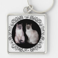 Dos gatos siameses