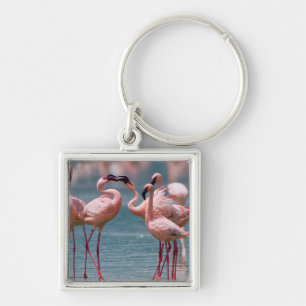 Llavero Dos Hombres Menos Flamingos (Phoenicopterus Menor)