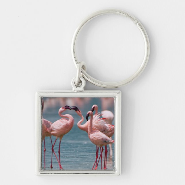 Llavero Dos Hombres Menos Flamingos (Phoenicopterus Menor) (Frente)