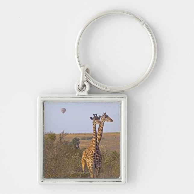 Llavero Dos jirafas (camelopardalis) del Giraffa, Masai (Frente)