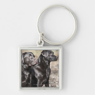 Llavero Dos labradores retrieveres negros