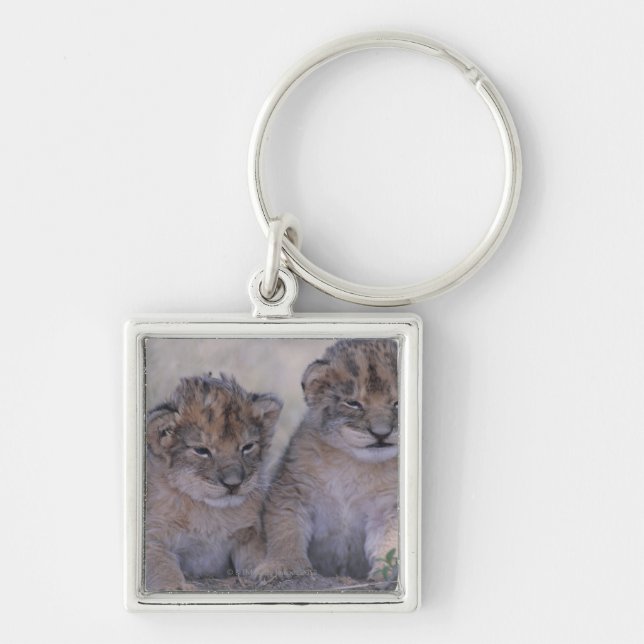 Llavero Dos león Cubs (Frente)