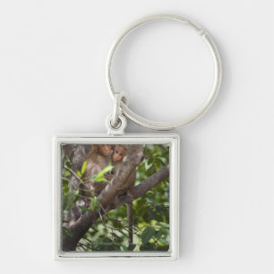 Llavero Dos monos en un árbol