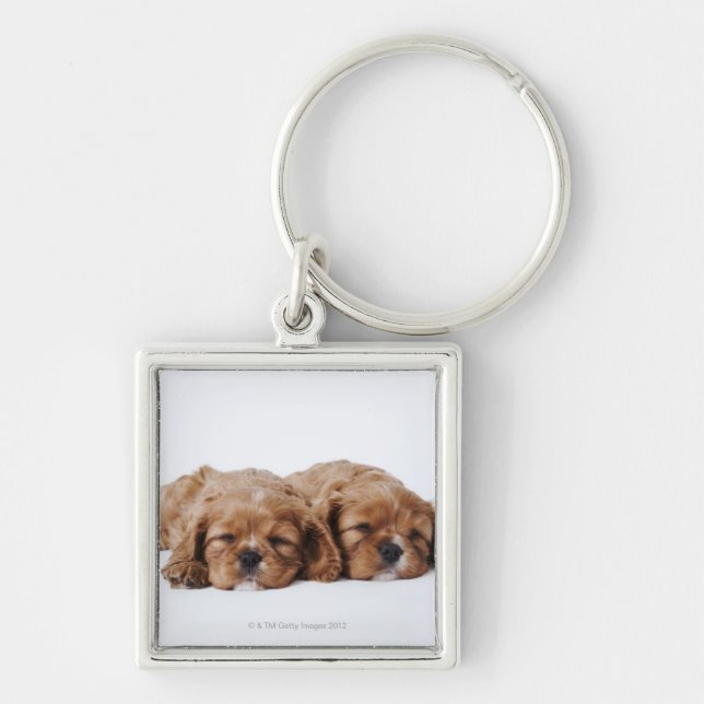 Llavero Dos perritos arrogantes del perro de aguas de rey (Frente)