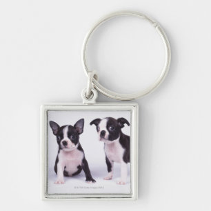 Llavero Dos perritos blancos y negros