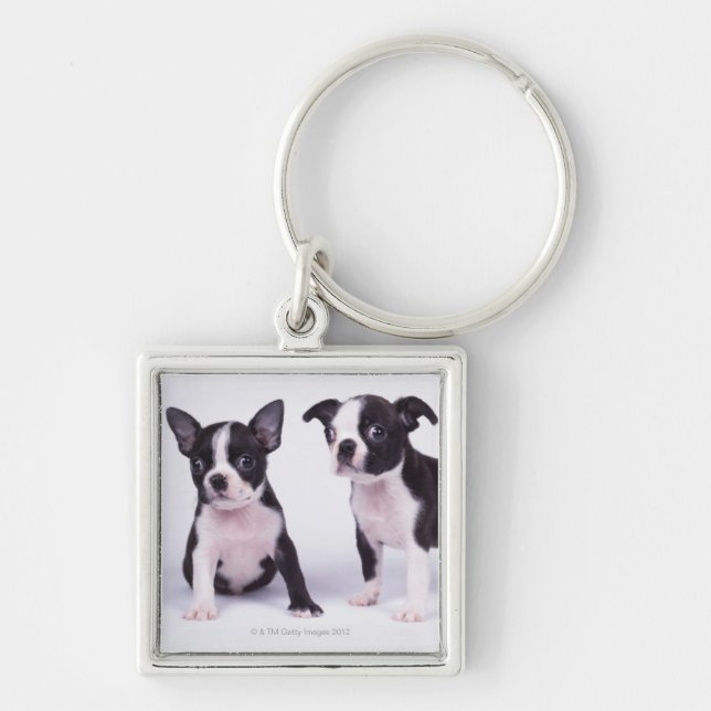 Llavero Dos perritos blancos y negros (Frente)