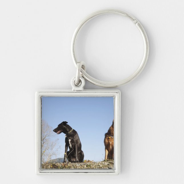 Llavero Dos perros jovenes que miran en direcciones (Frente)