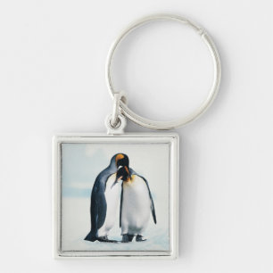Llavero Dos pingüinos cariñosos