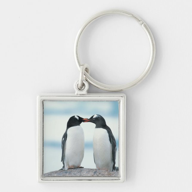 Llavero Dos pingüinos que tocan los picos (Frente)