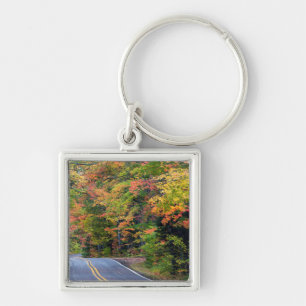 Llavero Dosel de otoño de color a lo largo de la autopista