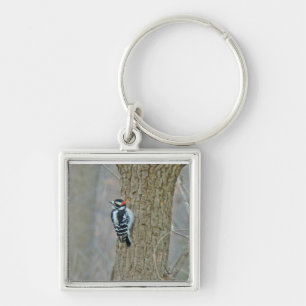 Llavero Downy Woodpecker Items