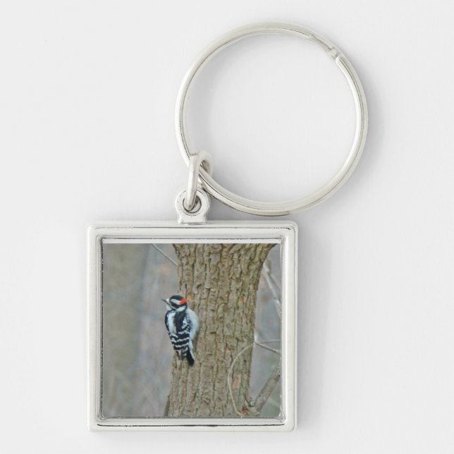 Llavero Downy Woodpecker Items (Frente)