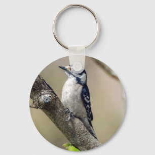 Llavero Downy Woodpecker Keychain