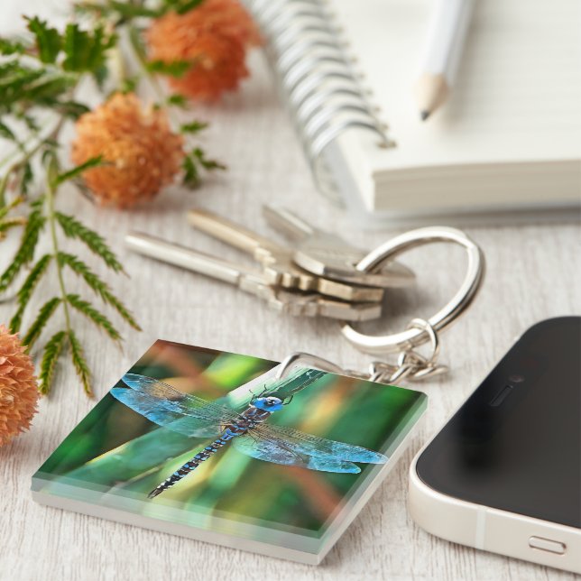Llavero Dragonfly de fantasía en turquesa y negro (Frente Derecha)