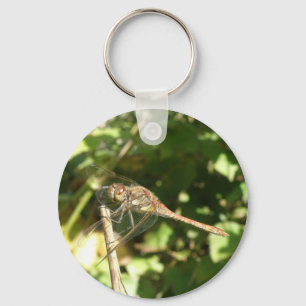 Llavero Dragonfly on the Twig Keychain