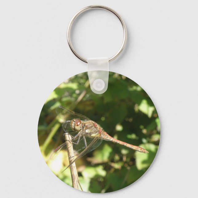 Llavero Dragonfly on the Twig Keychain (Anverso)