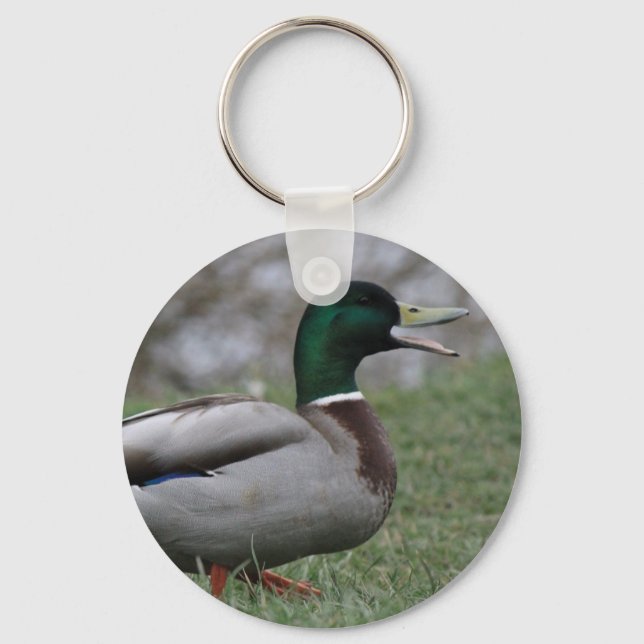Llavero Drake Mallard Duck (Anverso)