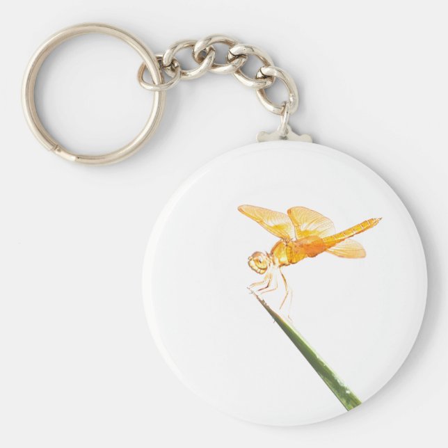 Llavero Dryaonus mexicana (Frente)