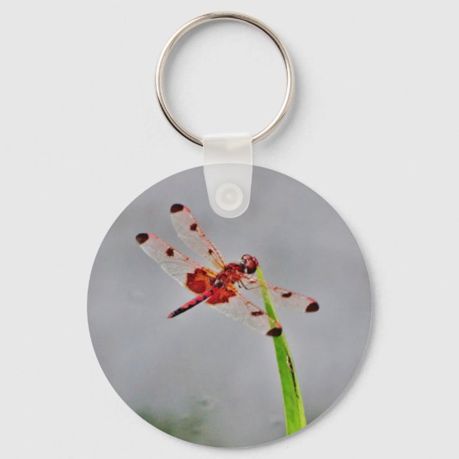 LLAVERO DSC00029.JPG (Anverso)