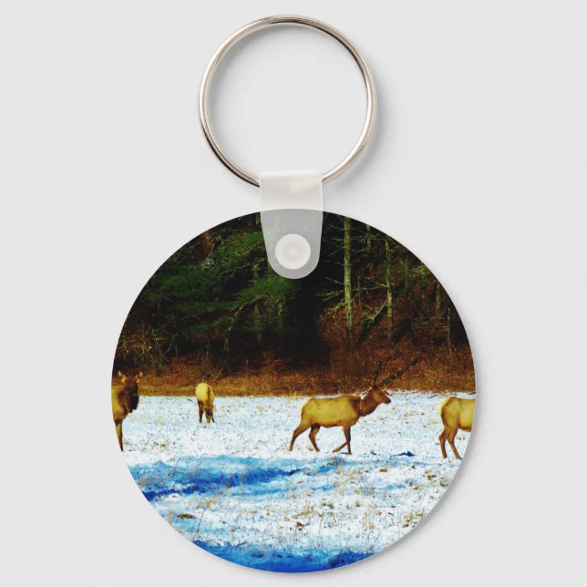 LLAVERO DSC00131.JPG (Anverso)